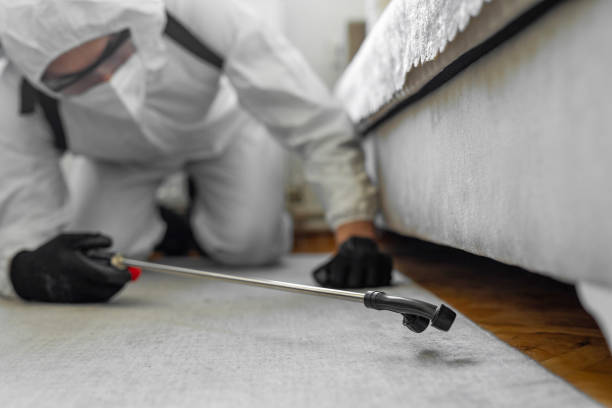 Professional Bed Bug Control technician working in Scenic Oaks, TX